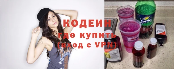 крисы Коряжма