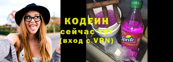 трава Корсаков