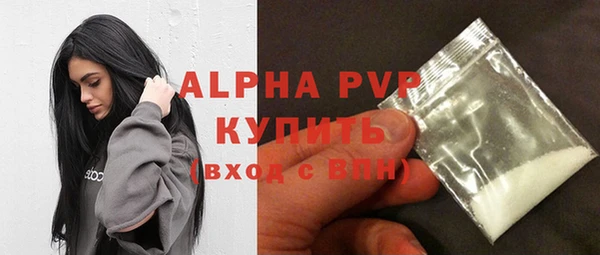 крисы Коряжма