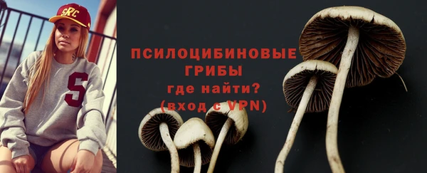 твердый Костерёво