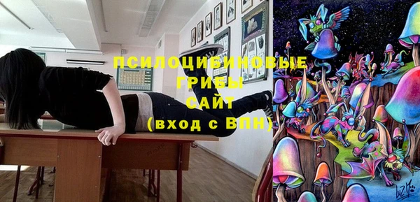 крисы Коряжма