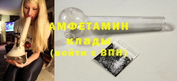 крисы Коряжма