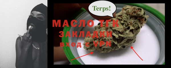 крисы Коряжма