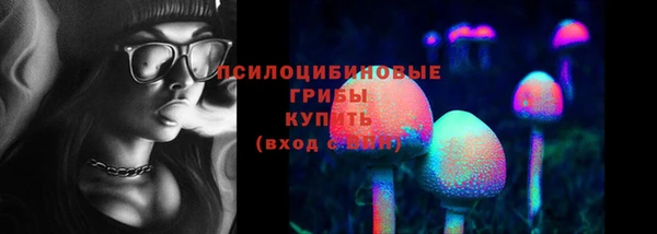 крисы Коряжма
