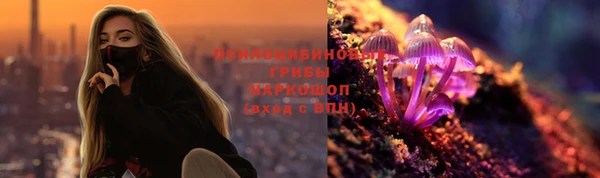 крисы Коряжма