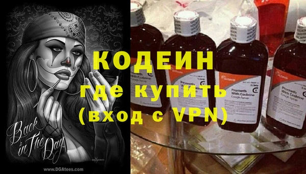 трава Корсаков