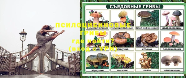 трава Корсаков