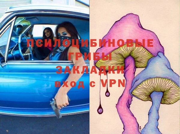 твердый Костерёво