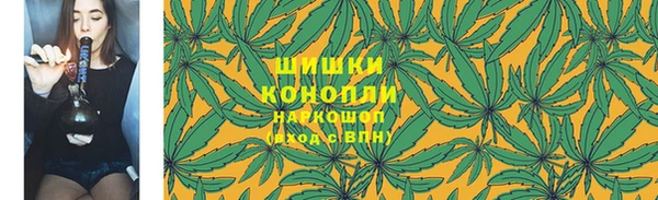 крисы Коряжма