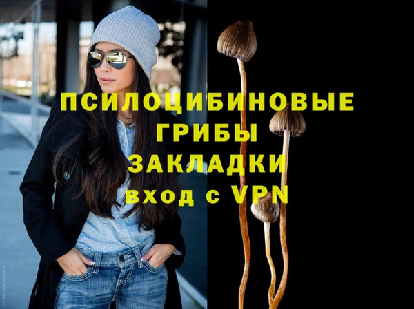 трава Корсаков