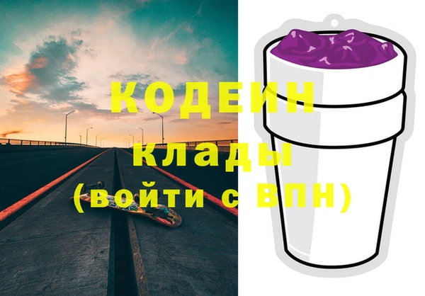 крисы Коряжма