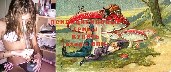 крисы Коряжма