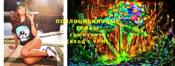 крисы Коряжма