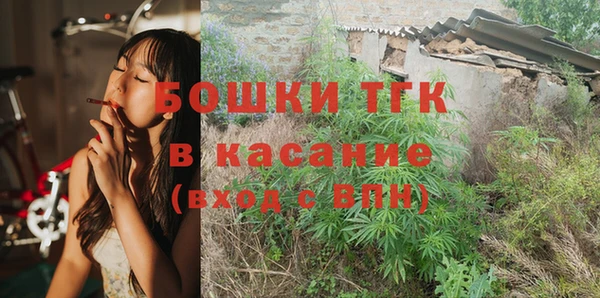 трава Корсаков