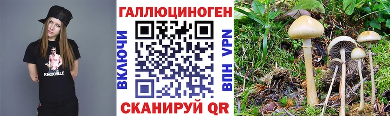 Галлюциногенные грибы Magic Shrooms  Купить закладки  Мантурово 